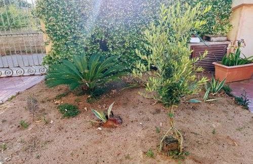 Trillibiu beach house - Foto 24