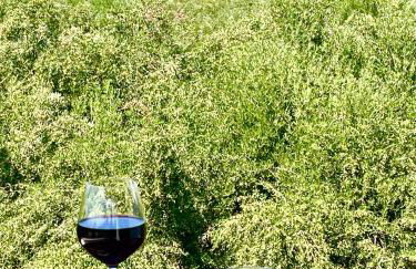 Sunny Villa - Foto 25