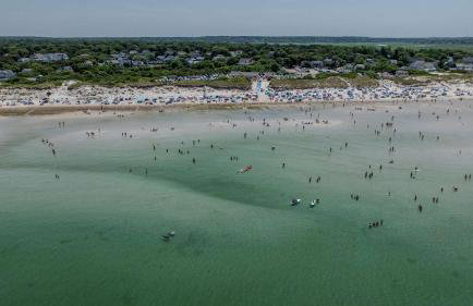 Tranquil Pond-View Escape in Dennis - Foto 34