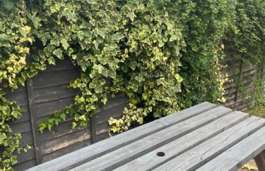 Tamworth Home - Photo 21