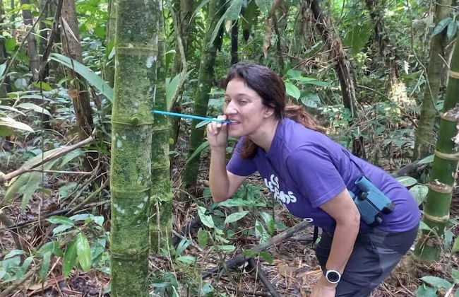 AYAWASKA ATRACTIVO SACHA WASI - Foto 5