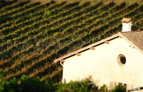 La Londe La Mer : appartement proche plages & vue superbe sur les îles d'or - Foto 53