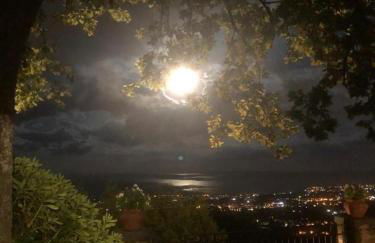 Feudo Algerazzi - Foto 47