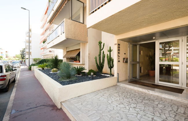 Le Morélia - Photo 16