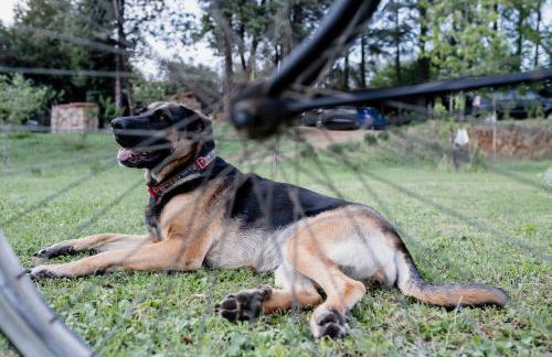 La Casa Dei Fiori - Foto 26