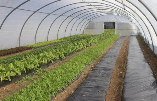 Magnifique villa de charme avec piscine - Foto 31