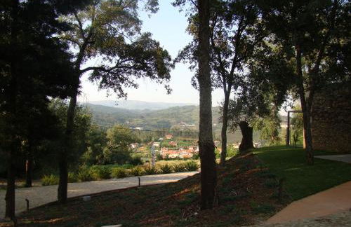 Bosque da Harmonia - Foto 66