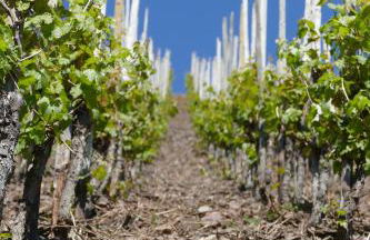 Ferienwohnung Haus am Calmont - Foto 31