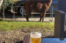 Spout House Studio - Foto 15