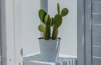 The Roof-Top - Foto 45