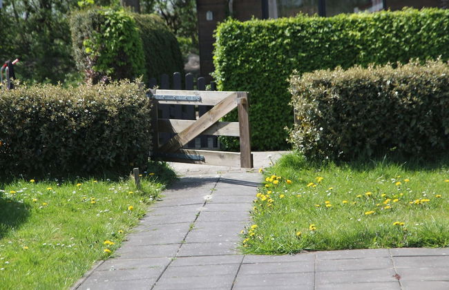 Rustic Bungalow in North Holland near Forest - Foto 26