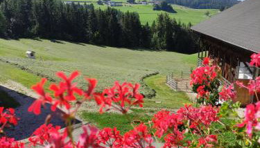 Polzhof - Foto 2