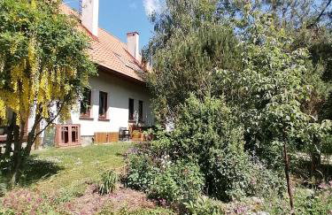 Wyciszek - mazurska agroturystyka - Foto 42