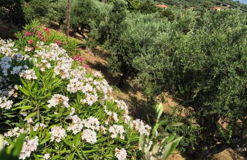 Tritsili house - Photo 69