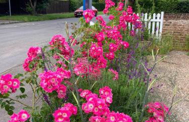 Quirky & cosy 1 or 2 bedroom house in peaceful village - Photo 14