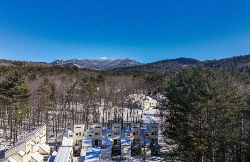 Unique Thornton Townhome Swim, Ski, and Hike! - Foto 28