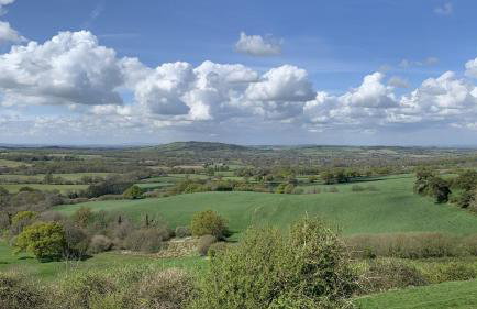 Bettys Barn - Foto 36