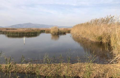 Apartamento junto al mar Los Marineros con acceso independiente por terraza - Photo 34