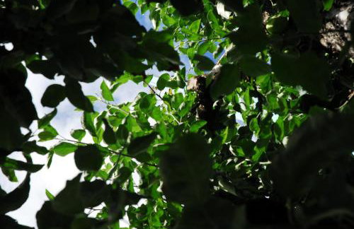 Apartment Montabaur Heiligenroth - Foto 11