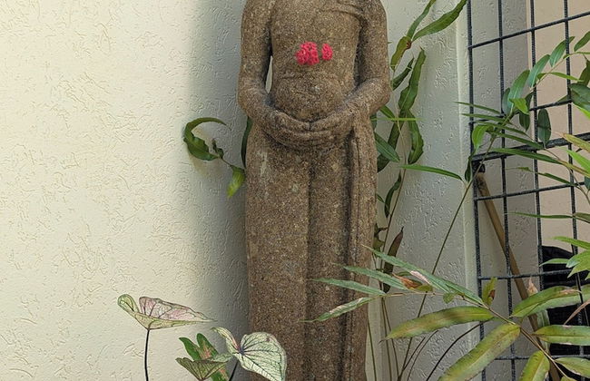 The Villas Palm Cove - Foto 63