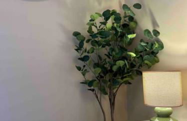 Casa Aurora ~ A Modern, welcoming apartment - Foto 25