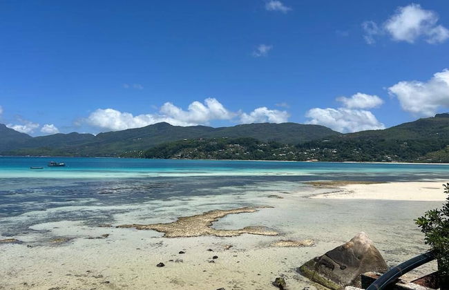 Paul's Residence - Foto 26