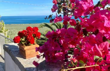 Villa in Gargano - VILLA BASSO - Foto 42