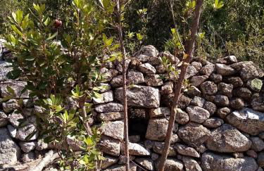 VILLA I BAGHI - sans vis-à-vis au calme - Foto 11