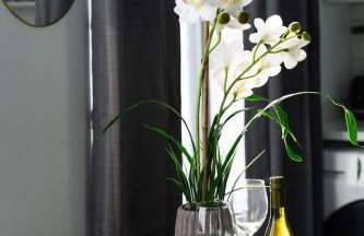 Sunny Modern Loft Montrose Beach Rooftop WFH Gym - Photo 15