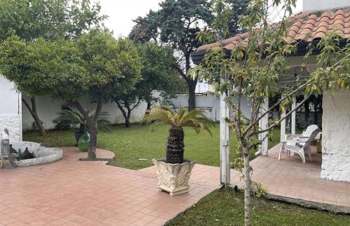 Villa Avvocato Catapano - Photo 23