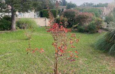 Maison 2 P- Peymeinade lotissement avec Piscine - Foto 24