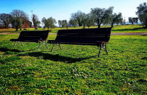 Agriturismo Podernuovo - Foto 24