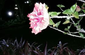 Teresopolis Duplex Green Valley - Photo 30