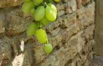 außergewöhnliches, historisches, spätgotisches Wohnhaus von 1519, Gries 5 - Foto 47