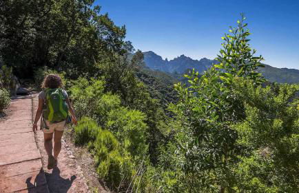 Studios by Aqua Natura Hotels - Foto 49