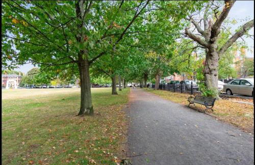 1BR on SALEM Common w/ Parking l Walk to Town - Photo 25