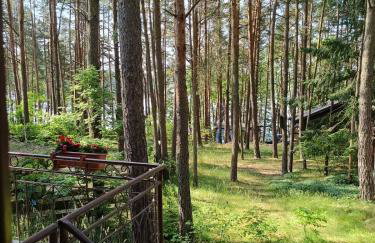 Domek w Ocyplu-Ocypelski Śpik ,Bory Tucholskie - Foto 20