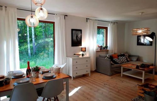 Między Brzozami - Foto 9