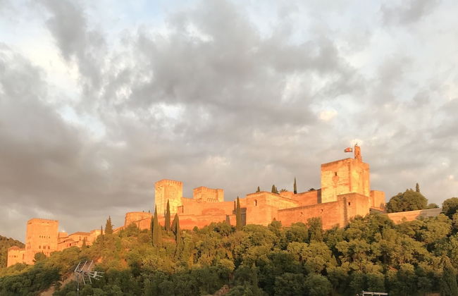 HNN Granada - Foto 27