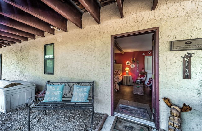 Gotch Eyed Moose - Foto 17