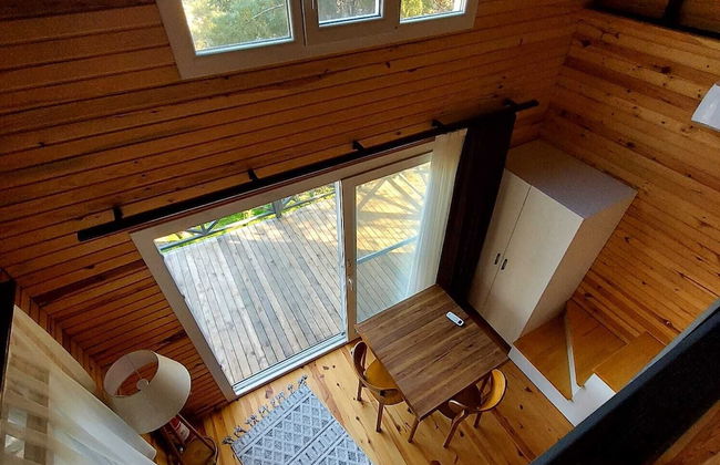 Sole Foca ( Ages 12+ ) - Foto 25