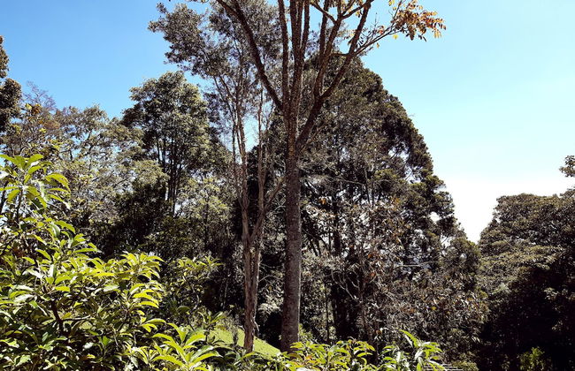 Casa Jade - Photo 22