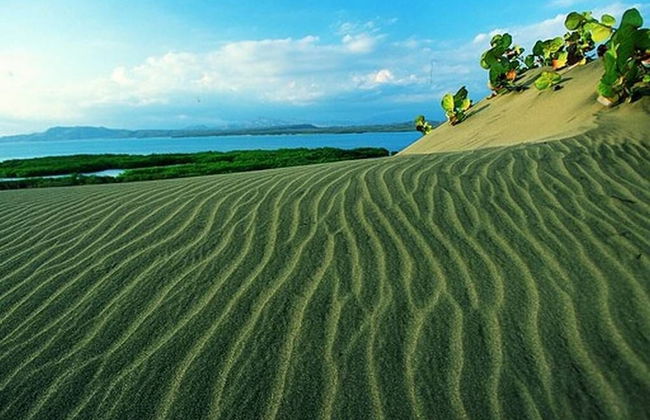 Villa Los Almendros - 2 Private Pools & Tennis & Pickle Ball - Photo 24