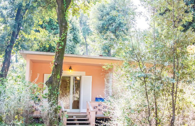 Resort Riva degli Etruschi - Foto 75