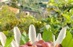 Casa Franca - Apartment in the countryside with garden - Foto 53