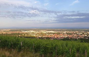 Le Coq De Champagne - Photo 14