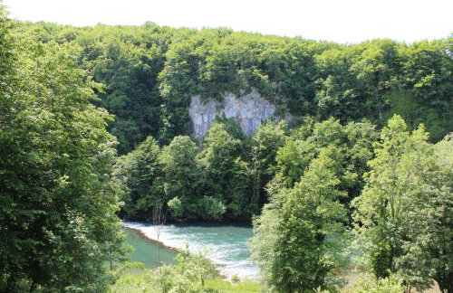 Holiday house with a parking space Jakovci Netreticki, Karlovac - 20279 - Foto 20