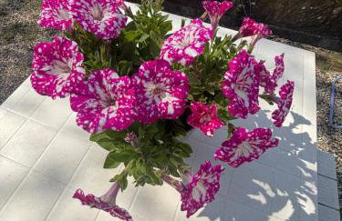 Agriturismo La Locandiera - Photo 73