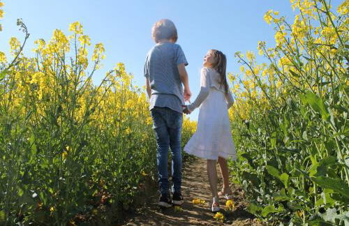 Comfortable Apartment near Insel Poel - Foto 25