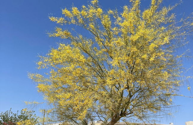 Sunrise Ranch - Photo 31